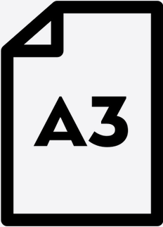 A3